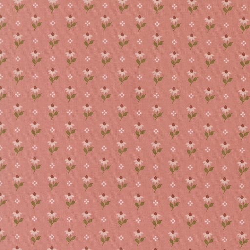 [525213] Wild Honey 5252 13