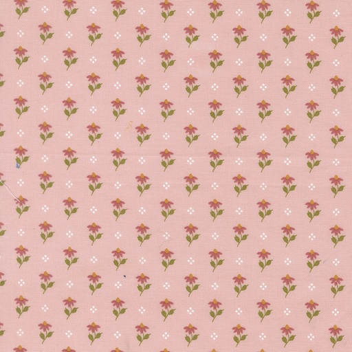 [525212] Wild Honey 5252 12