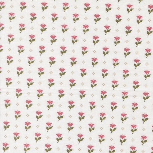 [525211] Wild Honey 5252 11