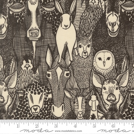 The Henhouse 48431 20