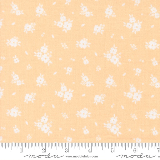 Pastel Prairie 31781 20