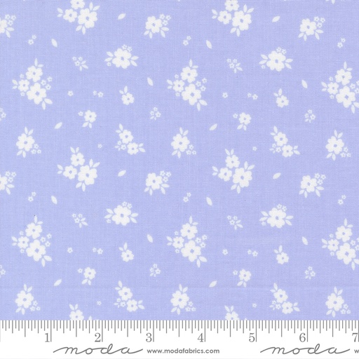 Pastel Prairie 31781 22