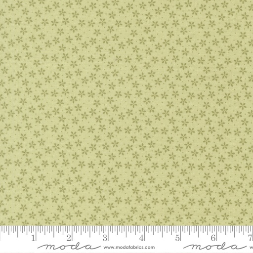 Pastel Prairie 31783 14