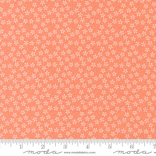 Pastel Prairie 31783 33