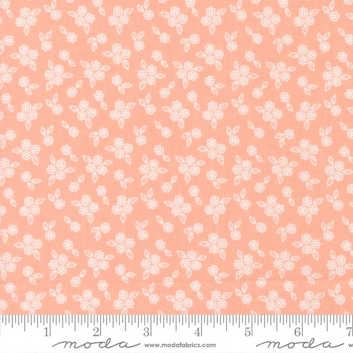 Pastel Prairie 31788 17