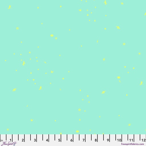 Tula Pink Lawn Charmed Stardust
