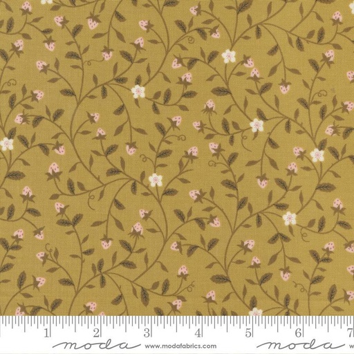 Evermore Honey 43151 13