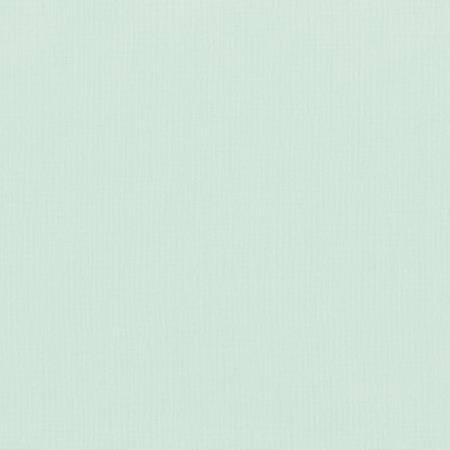 Kona Cotton Desert Green