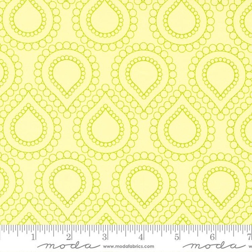 Rainbow Sherbet Kiwi 45021 29