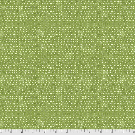 Seeds Fern
