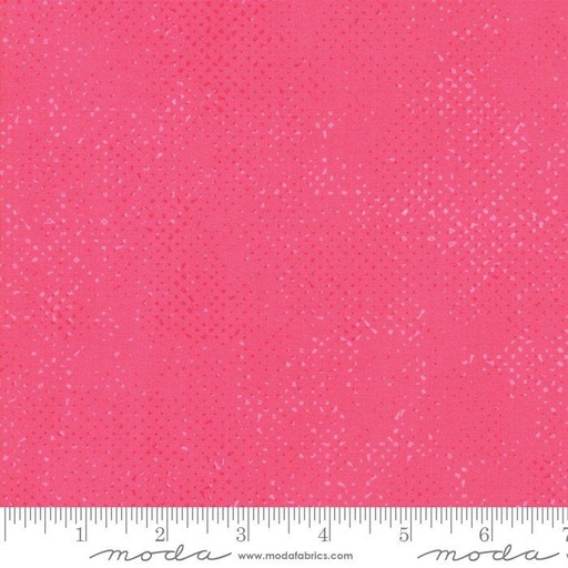 Spotted Popsicle 1660 24