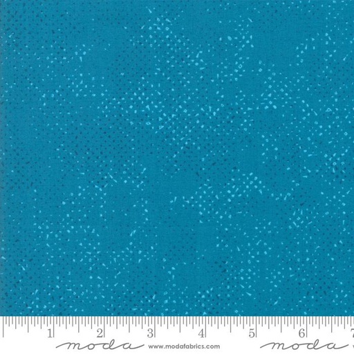 Spotted Teal 1660 78