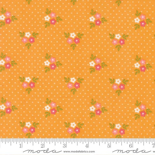 Strawberry Lemonade Apricot 37672 16
