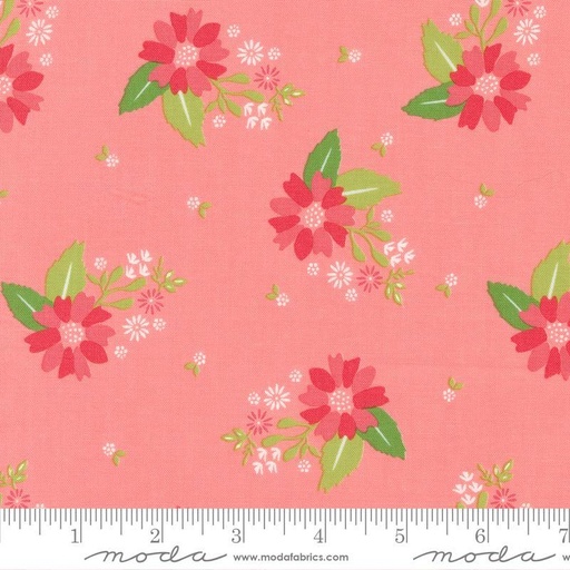Strawberry Lemonade Carnation 37671 12