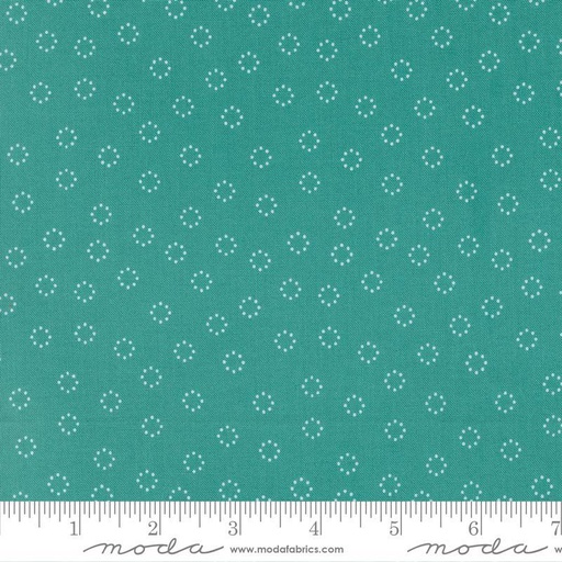 Strawberry Lemonade Teal 37677 21