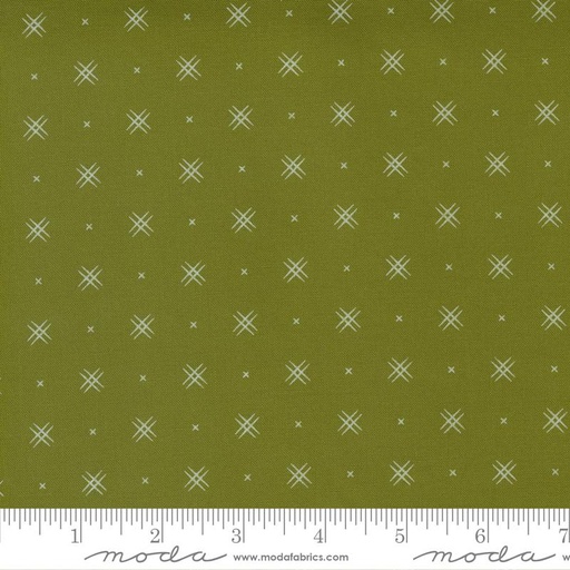 Beyond Bella Avocado 16740 277