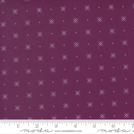 Beyond Bella Boysenberry 16740 217